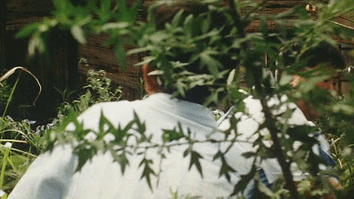 IMG_2729.GIF