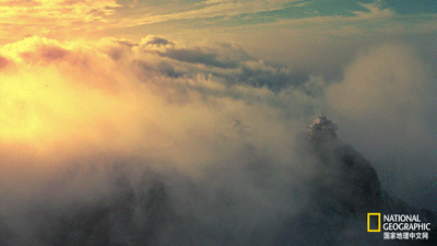 IMG_2908.GIF