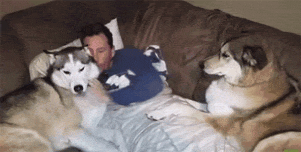 IMG_3250.GIF IMG_3250.GIF