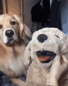 IMG_3252.GIF IMG_3252.GIF