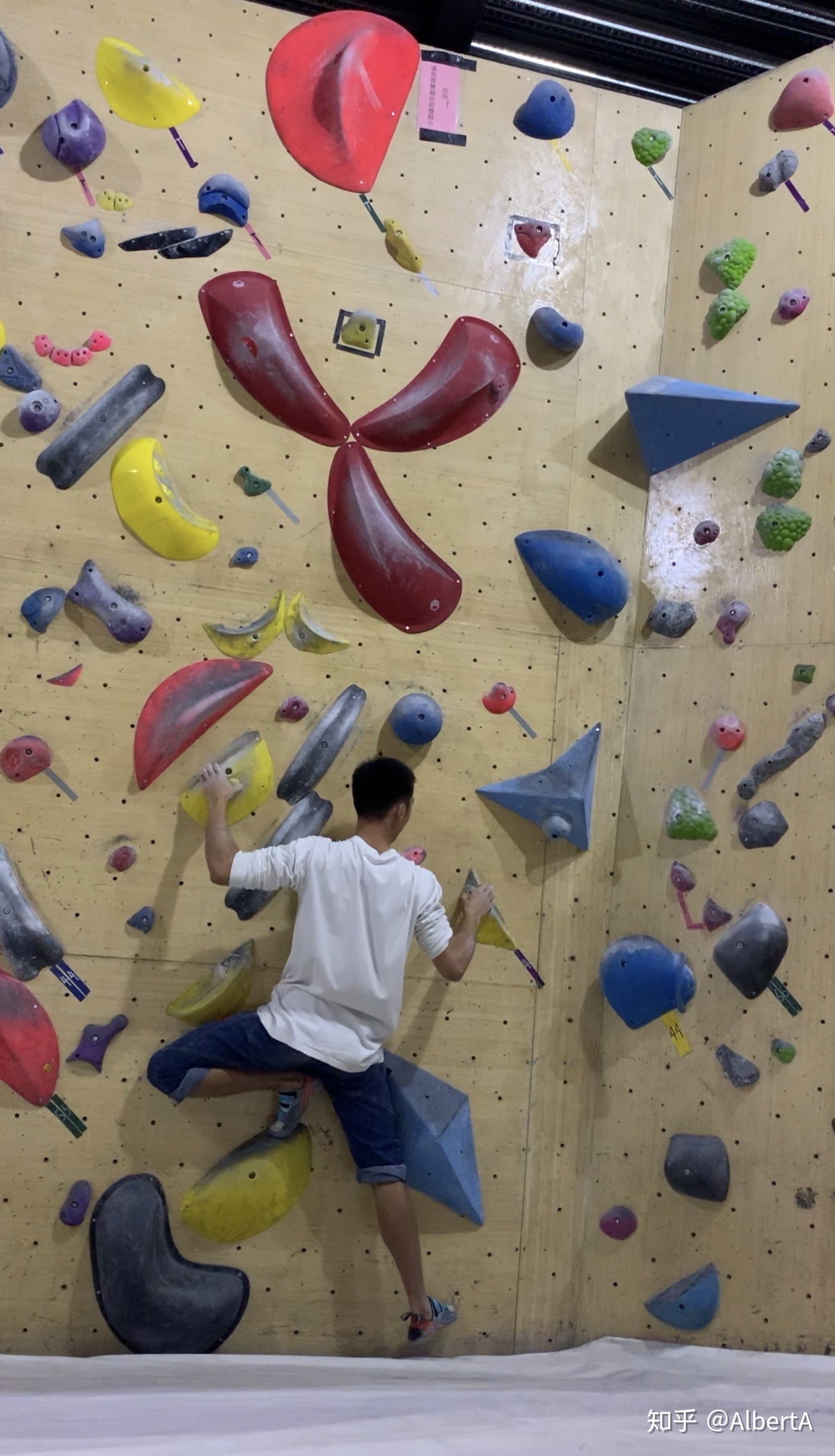 IMG_4191.JPG IMG_4191.JPG
