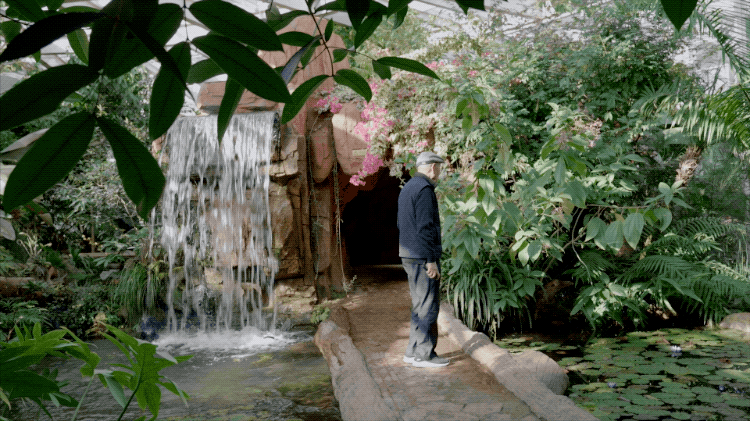 IMG_4308.GIF