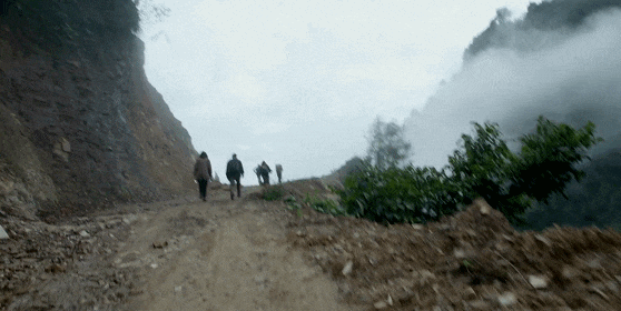 IMG_5594.GIF