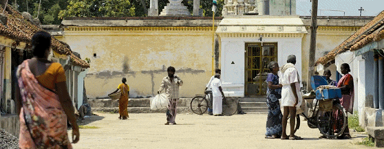 IMG_6507.GIF
