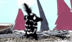 IMG_7729.GIF IMG_7729.GIF