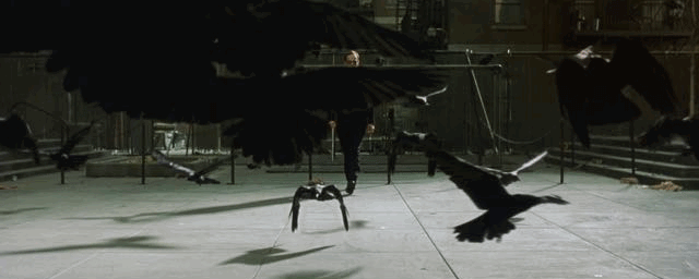 66.gif