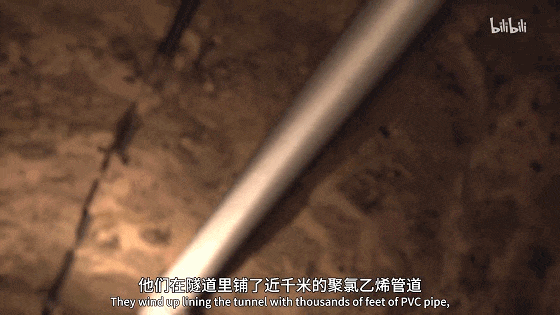 IMG_2231.GIF