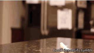 IMG_4054.GIF