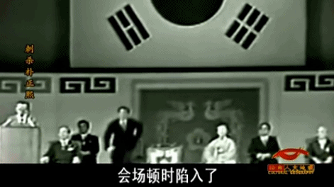 IMG_3489.GIF