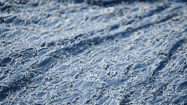 IMG_7190.GIF
