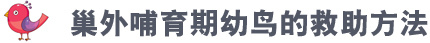 19.jpg 19.jpg