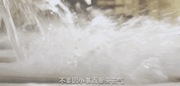 IMG_1799.GIF