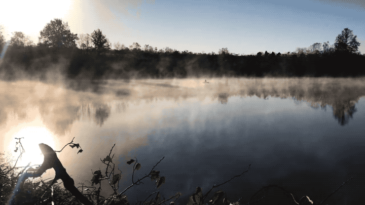 IMG_1419.GIF