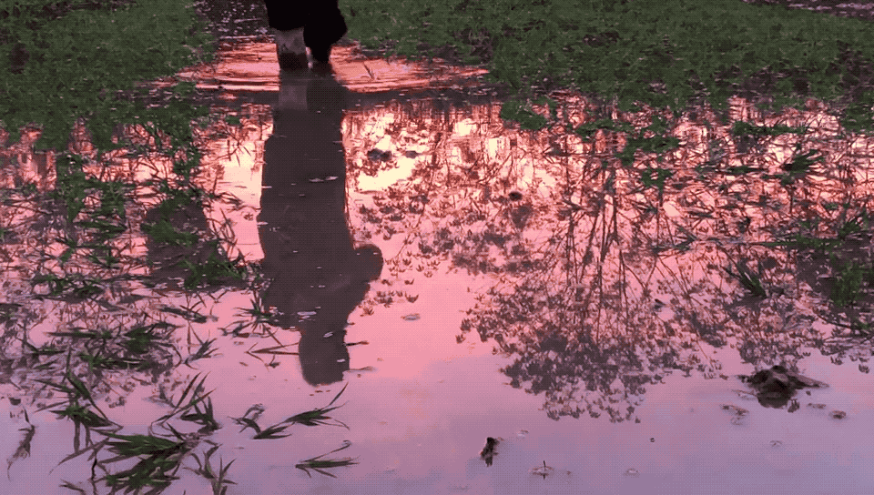 IMG_1434.GIF