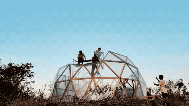 IMG_1444.GIF