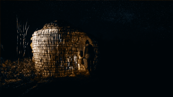 IMG_1445.GIF