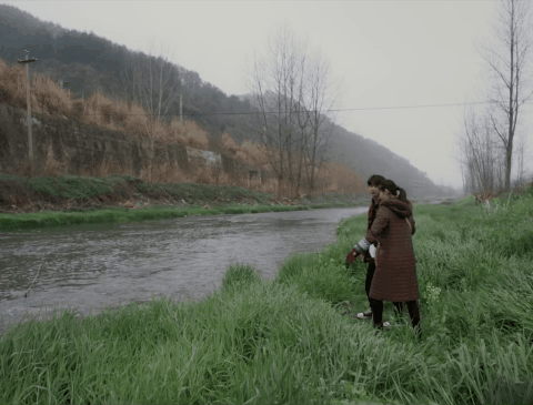 IMG_2627.GIF