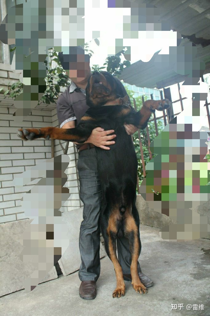 6.jpeg 6.jpeg