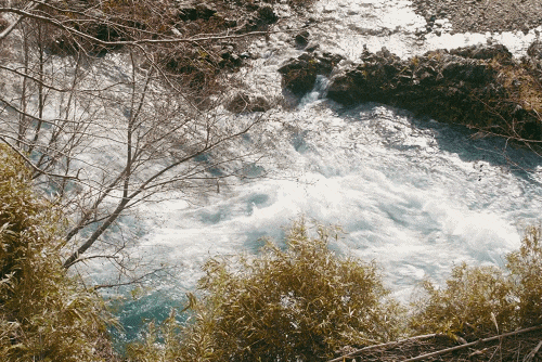 IMG_2839.GIF