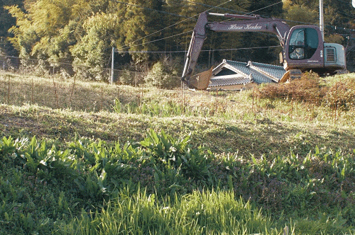 IMG_2845.GIF