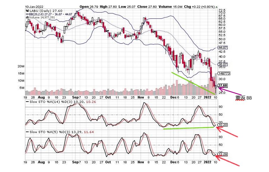 LABU  Chart  1-10-2022.JPG