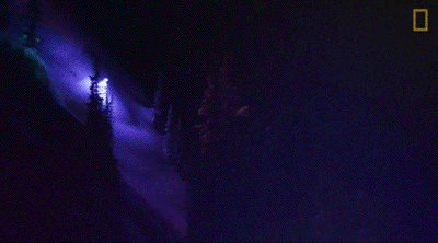 IMG_3893.GIF