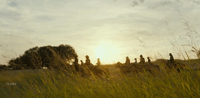 IMG_6635.GIF
