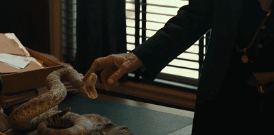 IMG_6636.GIF