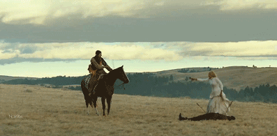 IMG_6649.GIF