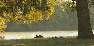 IMG_6653.GIF