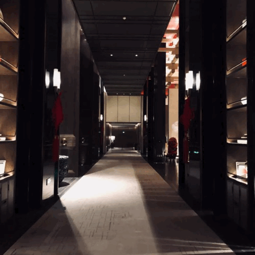 IMG_6355.GIF