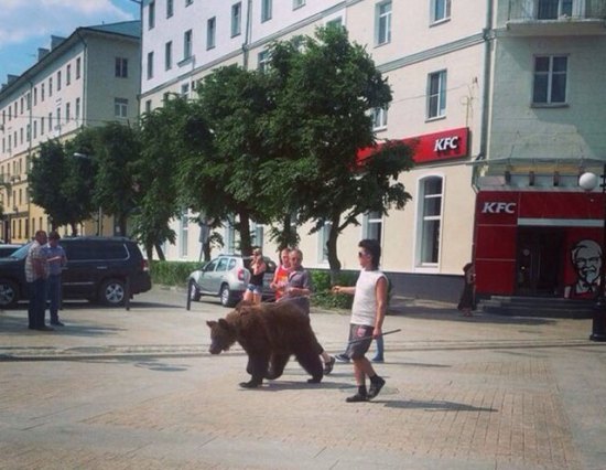 russia-bears-streets-1.jpg