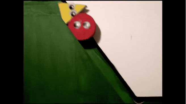 IMG_8952.GIF