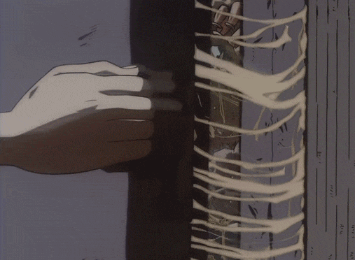 IMG_5449.GIF