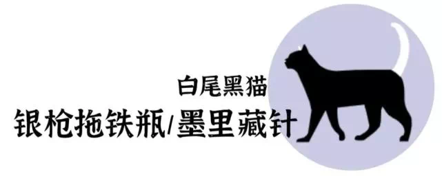 IMG_5880.PNG