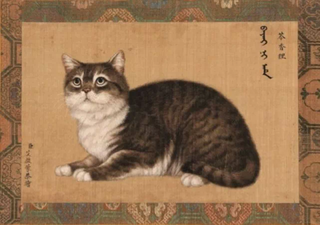 IMG_5894.PNG