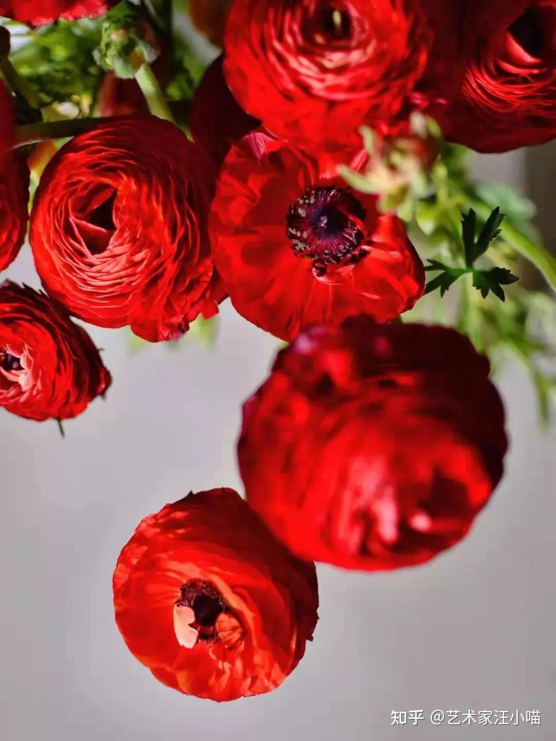 IMG_5903.PNG