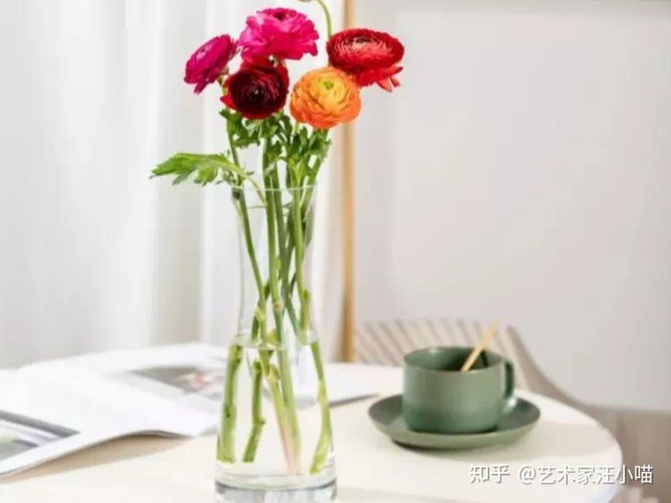 IMG_5904.PNG