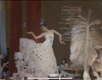 IMG_6462.GIF