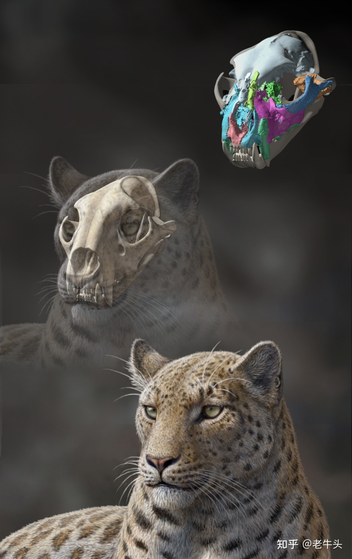 29.jpeg 29.jpeg