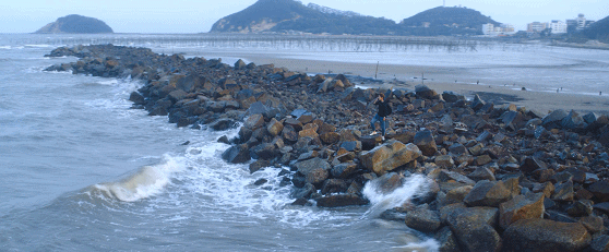 IMG_6907.GIF