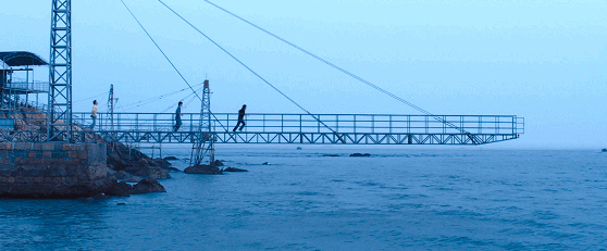 IMG_6928.GIF