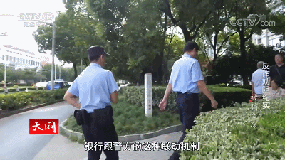 IMG_8461.GIF