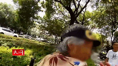 IMG_8470.GIF