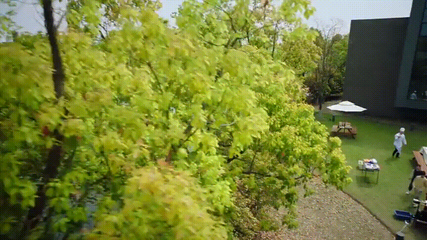 IMG_7376.GIF