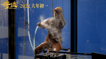 IMG_7409.GIF