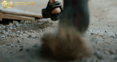 IMG_7426.GIF
