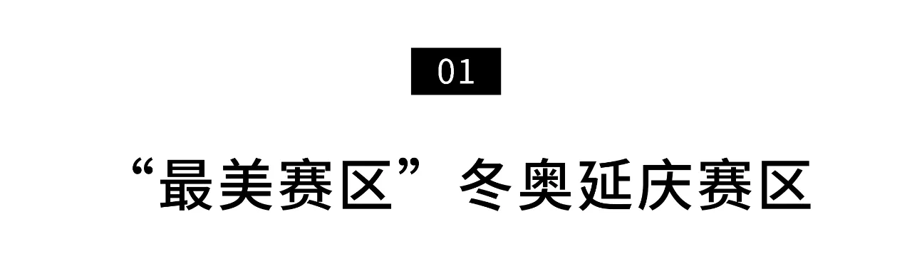 IMG_7636.PNG