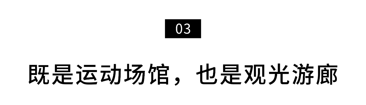 IMG_7653.PNG