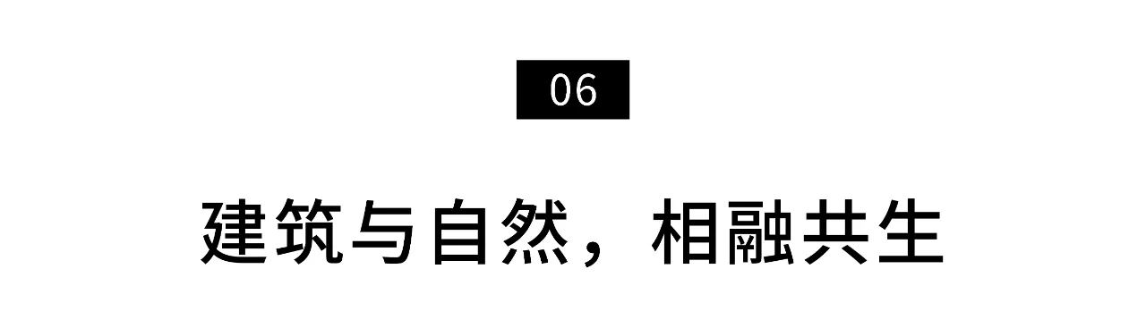 IMG_7665.PNG